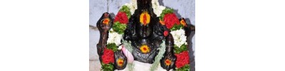 கத்தாங்கண்ணி